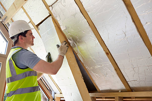 Best Insulation Maintenance and Repair in Monticello, IN